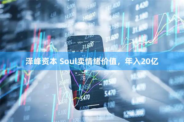 泽峰资本 Soul卖情绪价值，年入20亿
