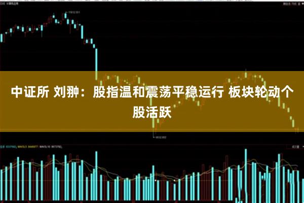 中证所 刘翀：股指温和震荡平稳运行 板块轮动个股活跃
