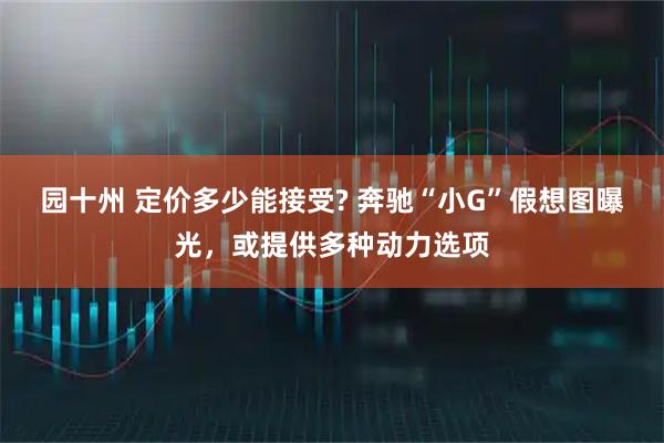 园十州 定价多少能接受? 奔驰“小G”假想图曝光，或提供多种动力选项